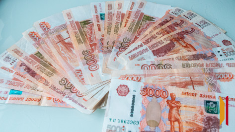 В Воронежской области многодетную мать обязали вернуть 2,6 млн рублей матпомощи