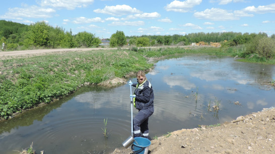 Очистные сооружения продолжают загрязнять почву возле микрорайона Радуга под Воронежем