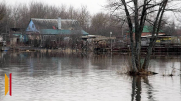 В Воронежской области затоплен мост, 59 приусадебных участков и 2 дома