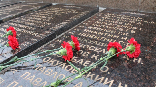 Имена 199 погибших солдат ВОВ увековечили в хохольском селе Гремячье