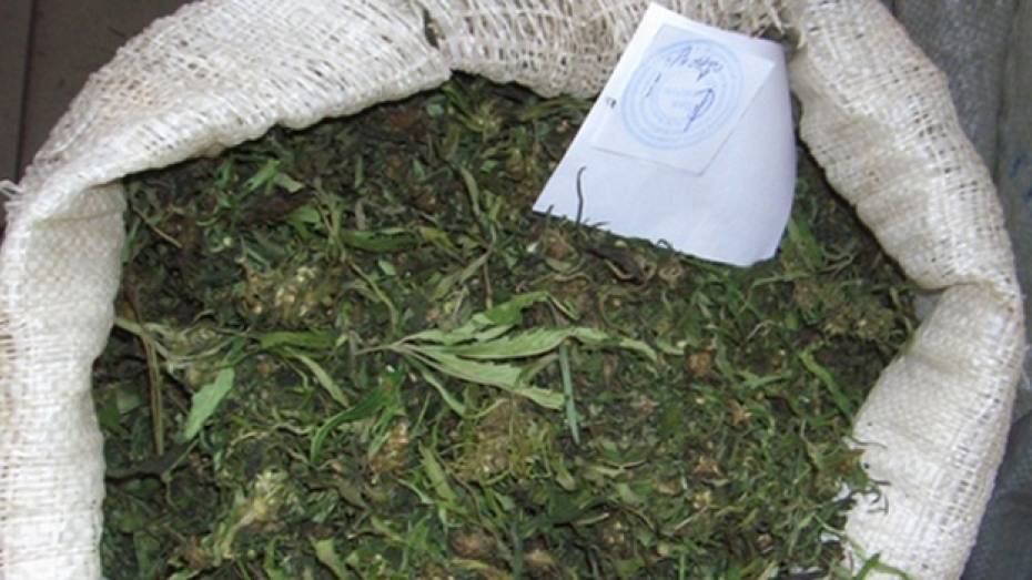 В машине жителя Панинского района нашли 600 грамм марихуаны