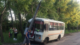 В Воронеже маршрутный «ПАЗ» врезался в фонарный столб