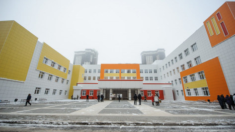 Новая воронежская школа №102 на Шишкова откроется в январе 2018 года