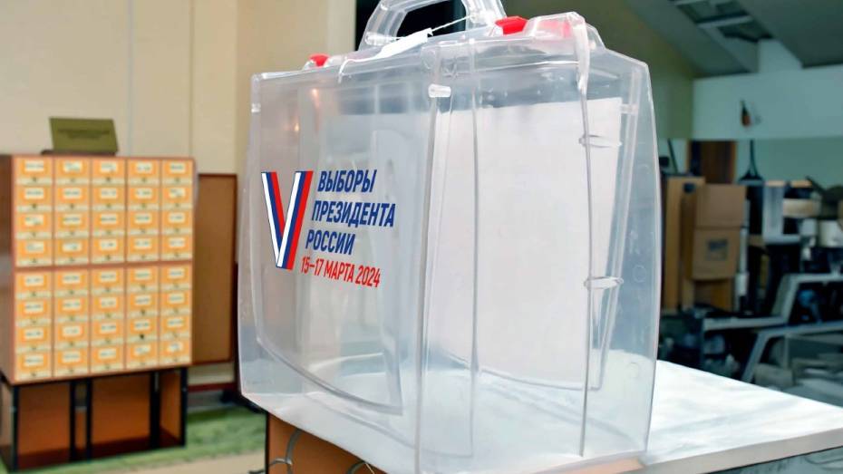 Жители Воронежской области могут проголосовать на выборах Президента РФ, не выходя из дома