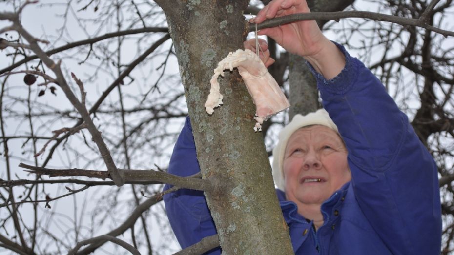 Жители Нижнедевицкого района помогут птицам пережить холода