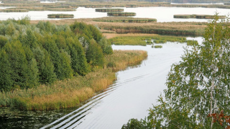 Тест РИА «Воронеж». Это Воронежская область или нет?