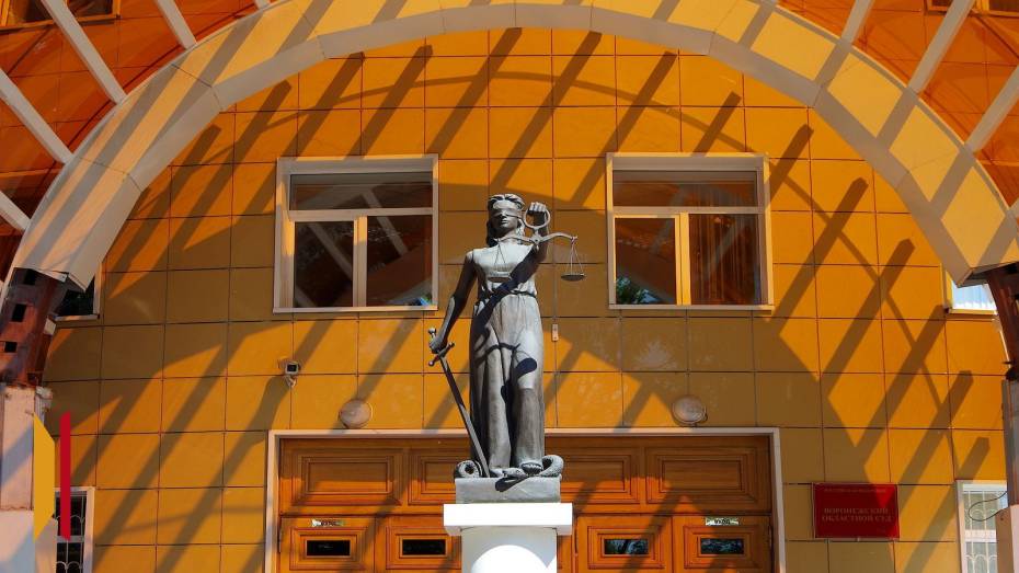 В Воронеже мужчина получил условный срок за реабилитацию нацизма в интернете