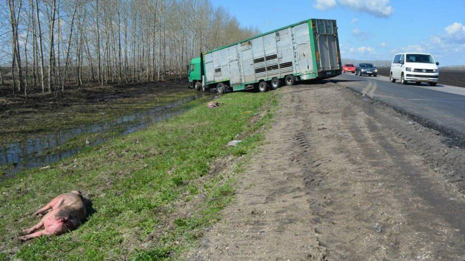 В Воронежской области 35-летняя женщина умерла после столкновения легковушки и грузовика
