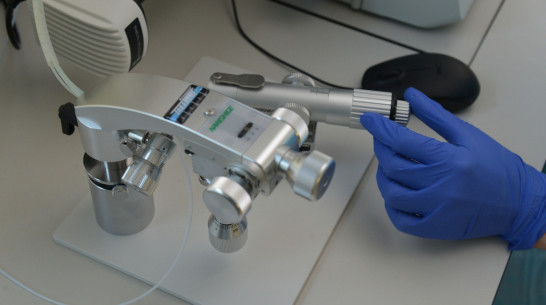 У умершей жительницы Воронежской области подтвердили COVID-19