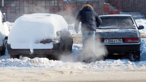 Прохладная снежная погода сохранится в Воронеже до апреля