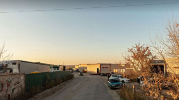 Очаг бешенства животных обнаружили на авторынке в Воронеже