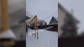 В воронежской деревне Парусное загорелся частный дом