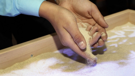 Воронежские достопримечательности попали на картины из песка