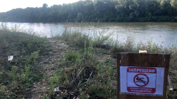 В Воронежской области 46-летняя женщина утонула в реке Дон