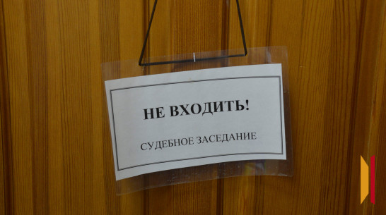 Руководителя воронежской организации обвинили в коммерческом подкупе на 560 тыс рублей