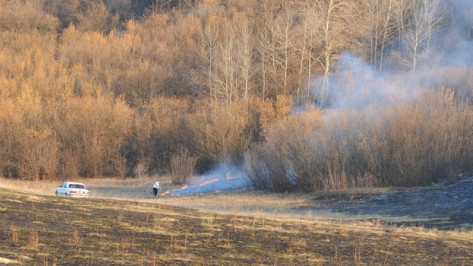 В Острогожском районе в результате пожара выгорело несколько десятков гектар полей с сухой травой