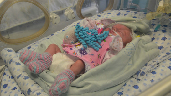 Воронежские врачи спасли крошечную недоношенную девочку, от которой отказалась мама
