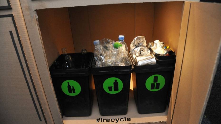 Раздельный сбор отходов внедрят в воронежских школах