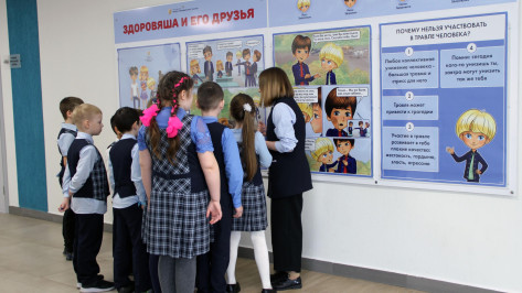 Воронежские педагоги провели более 14,5 тыс занятий по воспитательным комиксам «Здоровяша и его друзья»