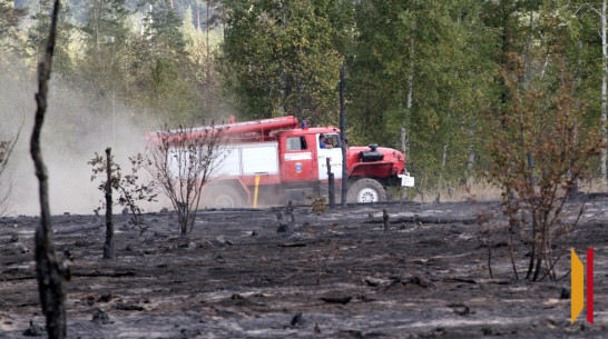 Половина Воронежской области оказалась в зоне чрезвычайной пожарной опасности