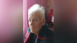 В Воронеже объявили поиски 84-летнего пенсионера, не вернувшегося с вечерней прогулки