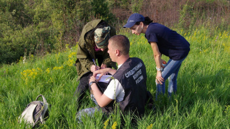 За сутки воронежскую петицию о создании системы оповещения подписали 11 тыс человек