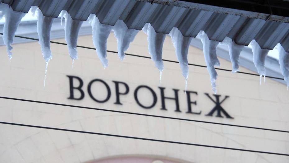 В Воронеже за день очистят 76 крыш от снега