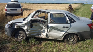 В Воронежской области 83-летний водитель «Лады Гранты» не уступил дорогу и погиб в ДТП