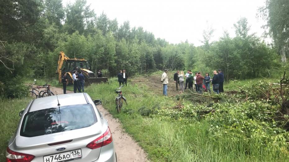 Жители воронежского микрорайона Репное остановили уничтожавшую деревья технику 