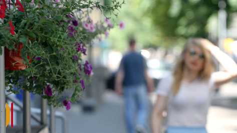 Синоптики рассказали, какая погода будет в Воронеже в первую неделю лета