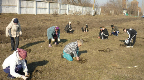 В Хохольском районе начали высаживать «Лес Победы»