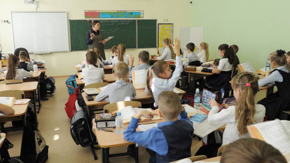 Эксперты: в Воронежской области 27% педагогов получают зарплату выше средней в регионе