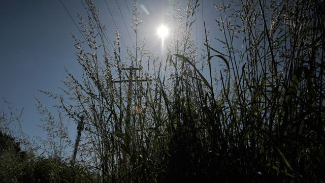 Воронежцы смогут увидеть солнечное затмение 10 июня