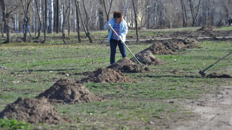 Воронежская область присоединится к всероссийскому экосубботнику 22 апреля
