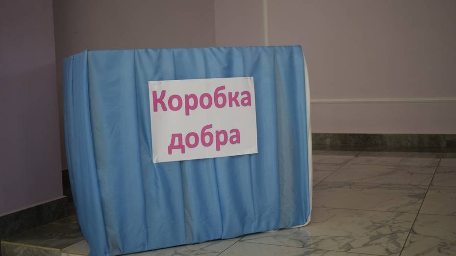 Акция помощи малообеспеченным семьям «Коробка добра» стартовала в Грибановском районе