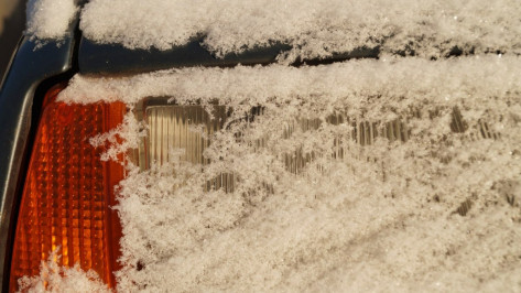 Полиция увидела судебную перспективу в деле о погроме на воронежской автобазе