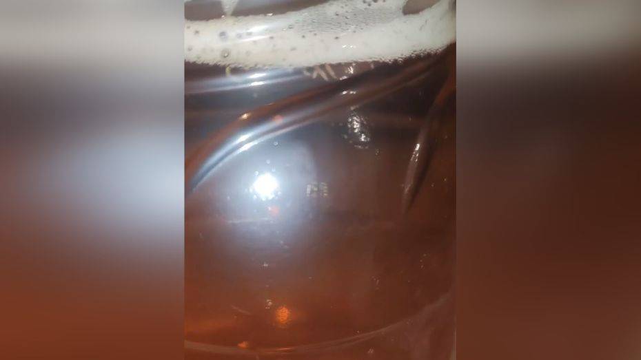 Санитарные врачи предупредили воронежский магазин, продавший пиво с червями