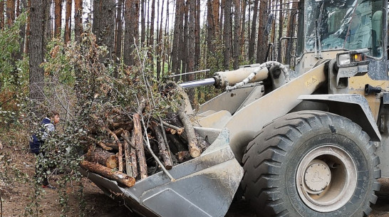 Домостроительный комбинат помог воронежцам с инвентарем для субботника