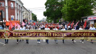 В акции «Бессмертный полк» в Воронеже поучаствовали 57 тыс человек