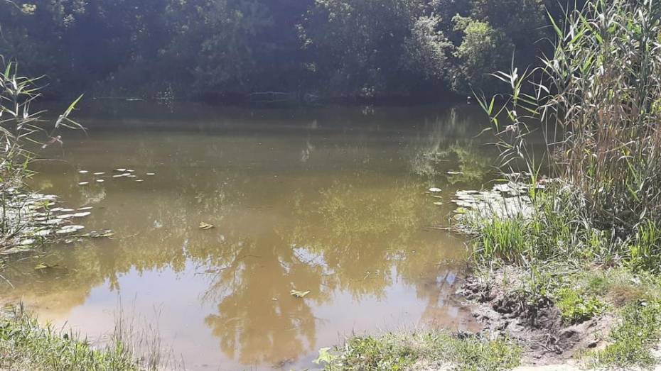 В реке Черная Калитва Ольховатского района утонул 44-летний мужчина