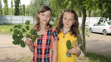 Хохольские школьницы стали победителями областного фестиваля «Старая, старая сказка»