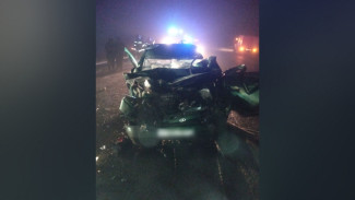 В Воронежской области водитель легковушки врезался в фуру и погиб