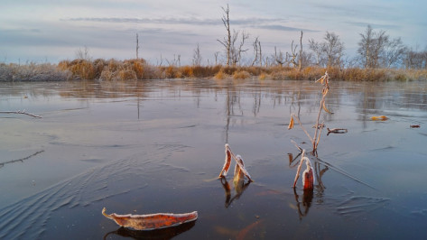 В Воронеже похолодает до -3 градусов