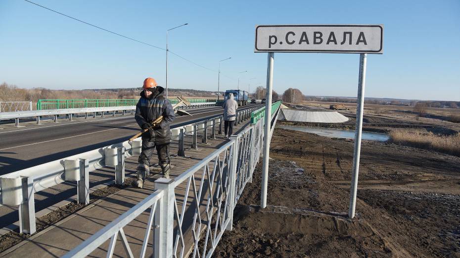 Губернатор Воронежской области поручил расчистить реку Савала