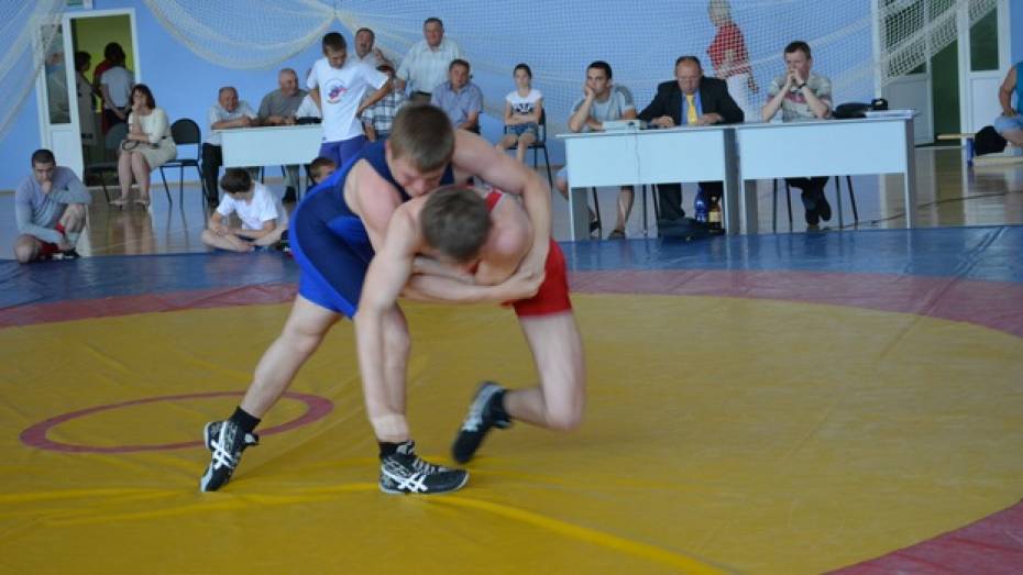 В Петропавловке впервые прошли межрегиональные соревнования по греко-римской борьбе
