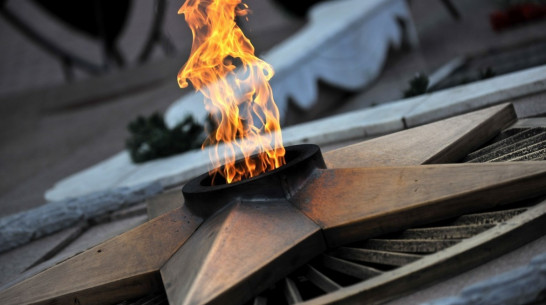 Общественники попросят назвать воронежскую улицу в честь 70-летия Победы