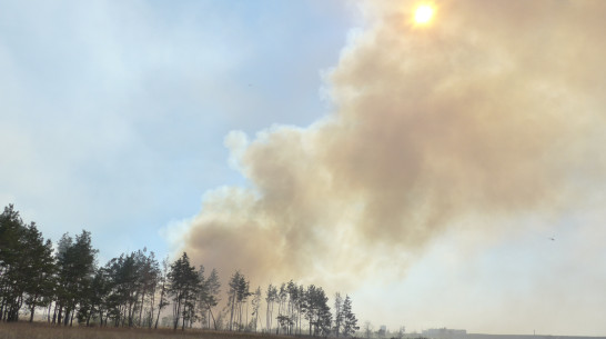 Воронежцев предупредили о риске пожаров и сильном ветре с порывами до 17 м/сек