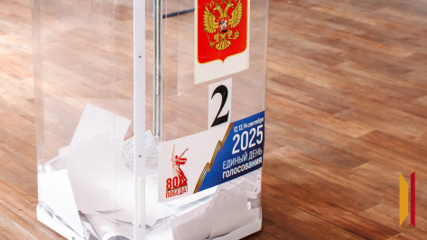 В Воронежской области начался 2-й день голосования на выборах депутатов областной и городской дум и в органы местного самоуправления