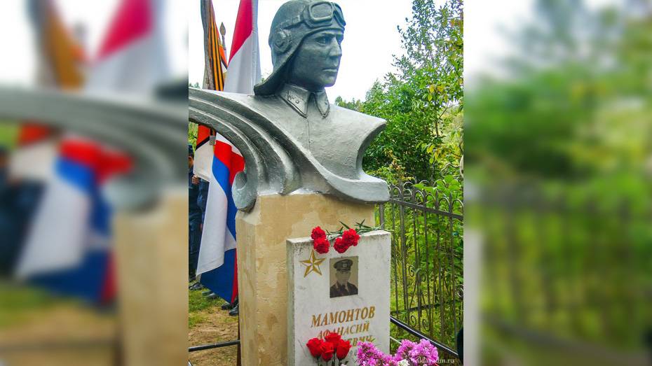 Бюст бобровского летчика установили на его могиле в Новгородской области