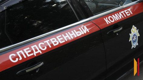 В Воронежской области возбудили уголовное дело после повреждения памятников героям ВОВ